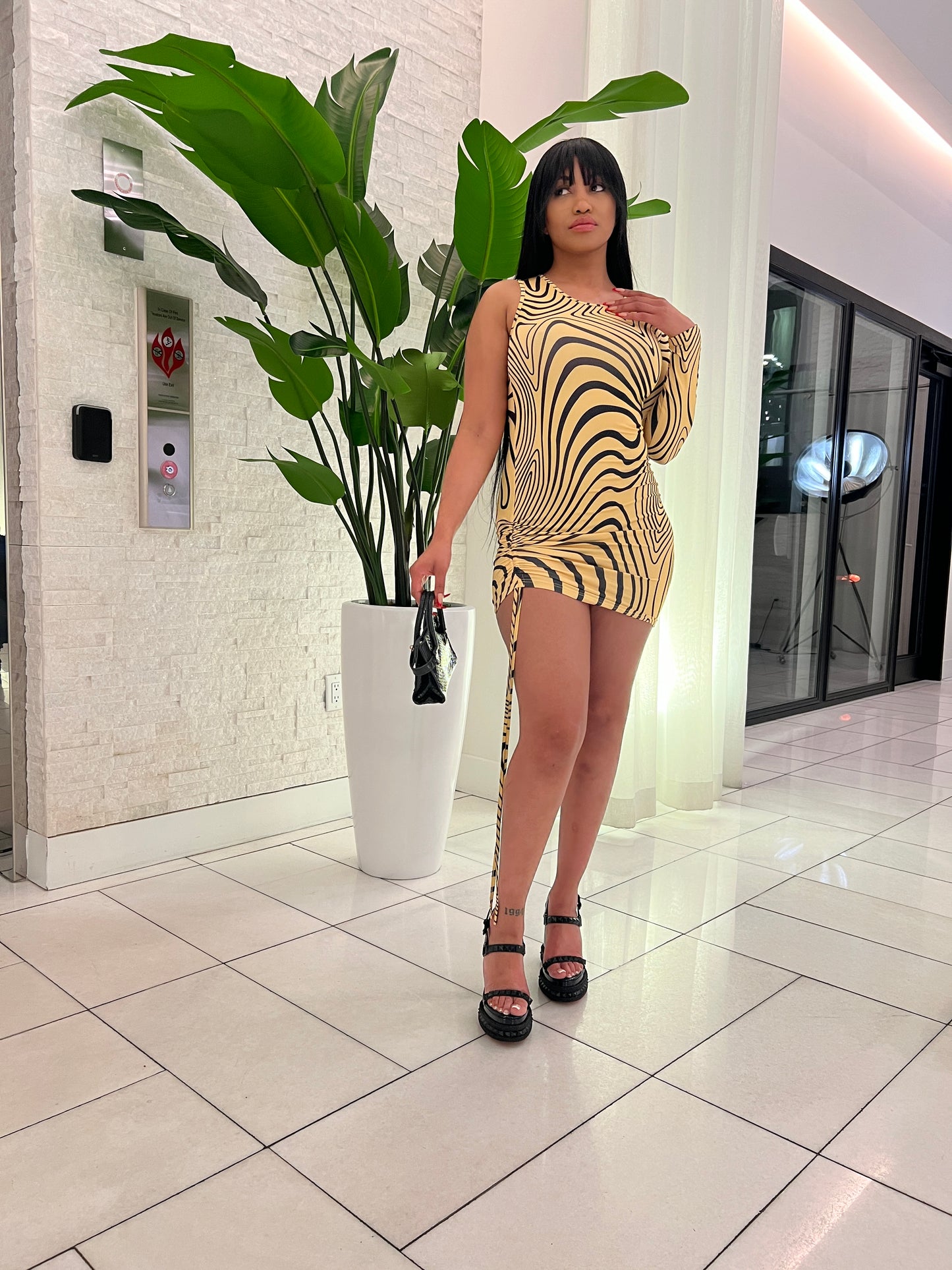 Zebra Print Dress